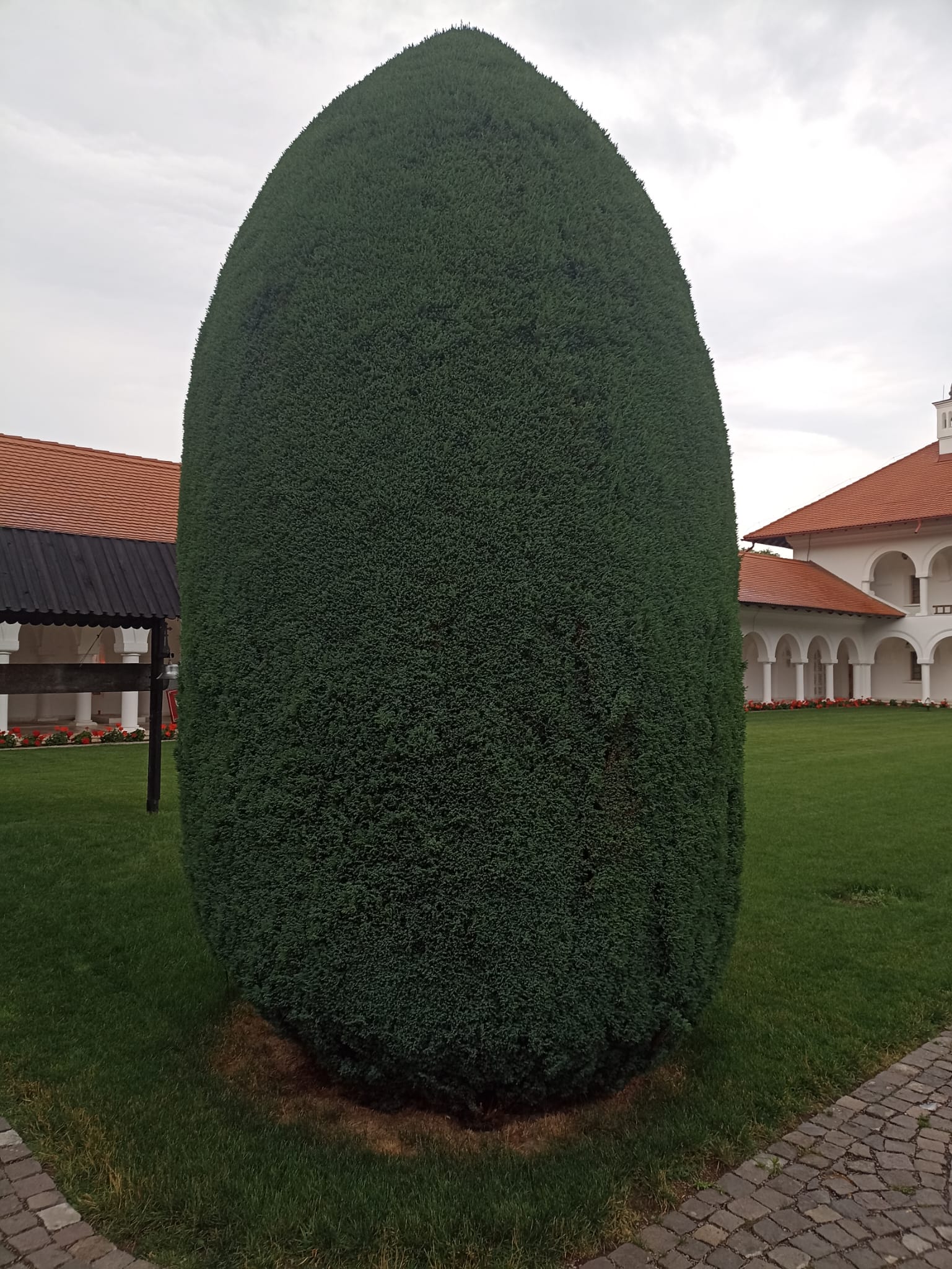 Galerie